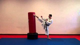 Spinning Wheel Kick  Warren Levi Karate [upl. by Osmen221]