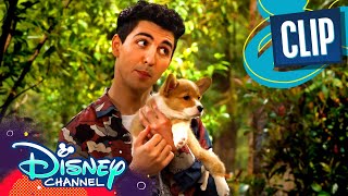 Parker vs Destiny  BUNKD  Disney Channel [upl. by Eirek235]