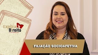 Explica Direito Filiação Socioafetiva  2019 [upl. by Enelyt]