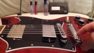 SG Guitars Quick Setup Specs [upl. by Sheppard270]