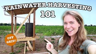 RAINWATER COLLECTION FOR BEGINNERS  16 Things To Know About Harvesting Rain Water BEFORE You Start [upl. by Ettelrahc]