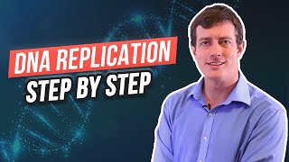 6 Steps of DNA Replication [upl. by Oirotciv712]