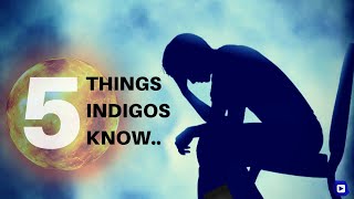 5 Things Only IndigosLightworkers Know [upl. by Elijah220]