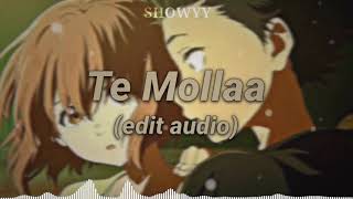 Te Molla Edit Audio [upl. by Suki]