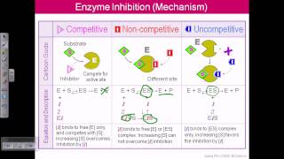 Enzyme inhibition [upl. by Asina]