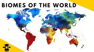 7 Biomes of the World Facts [upl. by Hannazus]