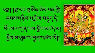 à½¦à¾’à¾²à½¼à½£à¼‹à½˜à¼‹à½‰à½ºà½¢à¼‹à½…à½²à½‚à¼‹à½‚à½²à¼‹à½–à½¦à¾Ÿà½¼à½‘à¼‹à½”à¼ Tara 21 prayer Dolma prayer [upl. by Oby260]