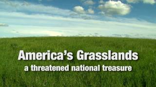 Americas Grasslands A Threatened National Treasure [upl. by Muslim]