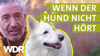 Dem Hund konsequent Grenzen aufzeigen  Hunde verstehen  S03E03  WDR [upl. by Adolph362]