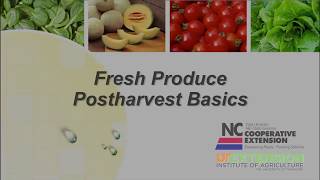 Postharvest Basics for Produce [upl. by Ardaid793]