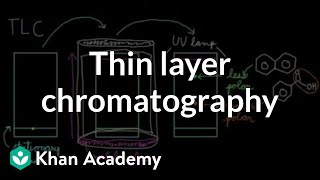 Calculation of the radioactive decay [upl. by Nagrom]