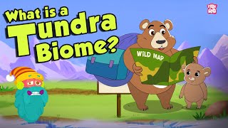 TUNDRA BIOME  What Is A Tundra Biome  Tundra Region  The Dr Binocs Show  Peekaboo Kidz [upl. by Madelin862]