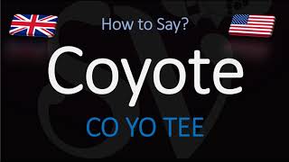 How to Pronounce Coyote  English American Pronunciation [upl. by Araeit263]