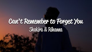 Shakira  Cant Remember to Forget You Lyrics ft Rihanna [upl. by Lobell]