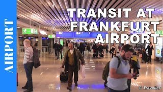 TRANSIT WALK AT FRANKFURT Airport FRA Terminal 1  Connection Flight Transfer Arriving amp Departing [upl. by Airrej726]